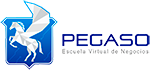Escuela Virtual de Negocios PEGASO